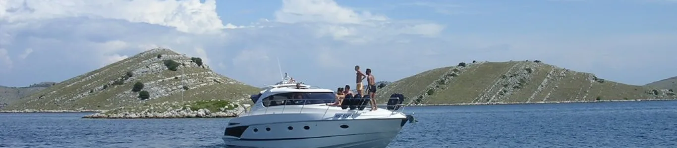 Zdjęcie Gaj oliwny Saljsko Polje