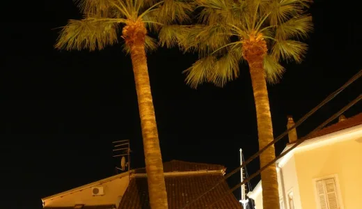 Restauracja Bocca Vera