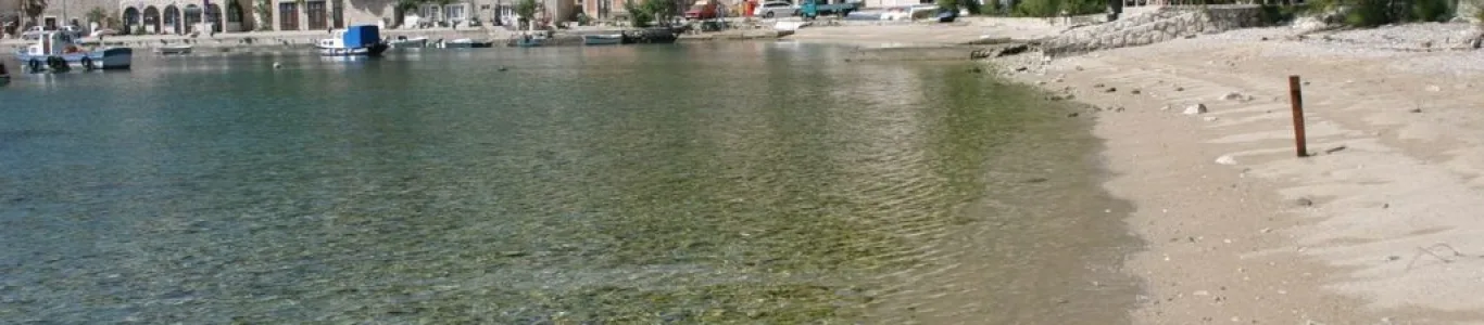 Zdjęcie Trstenik