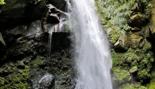 Wspinaczka na szczyt wulkanu La Soufriere