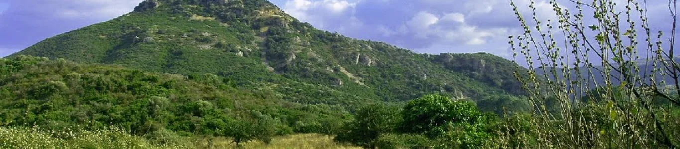 Zdjęcie Sardynia