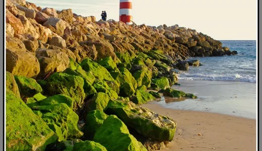 Faro