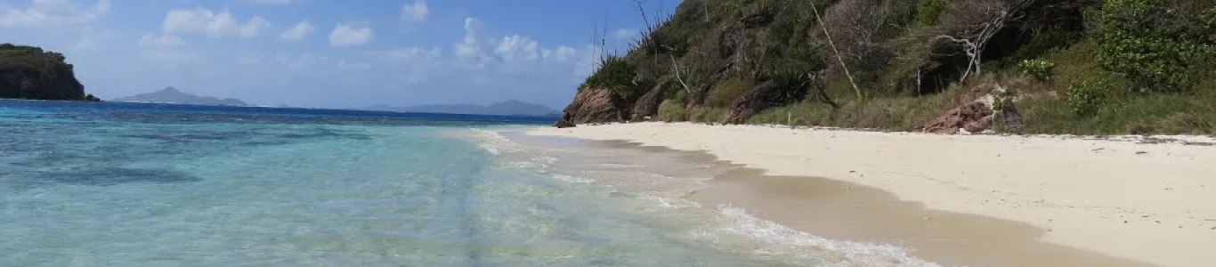Zdjęcie Palm Island