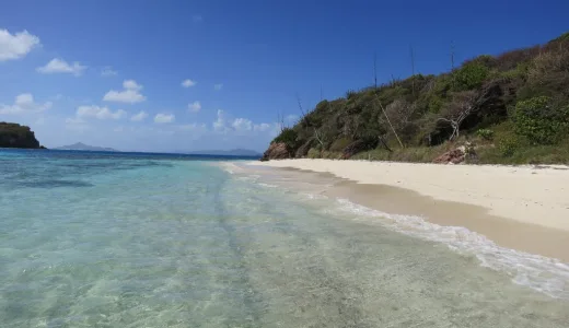 Aktywny wypoczynek na wyspie Palm Island