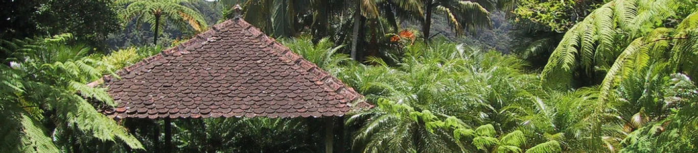 Zdjęcie Jardin de Balata