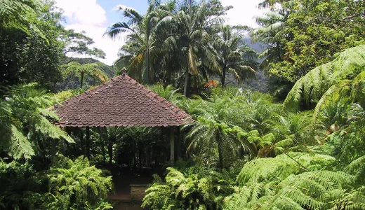 Jardin de Balata