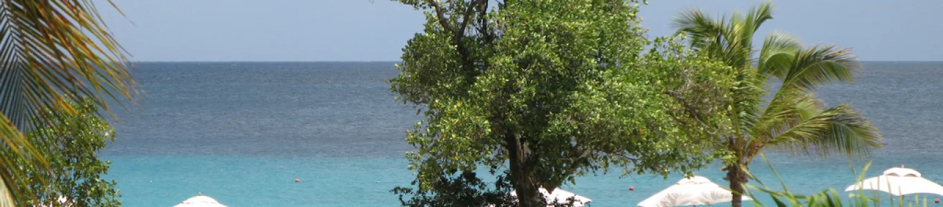 Zdjęcie Mustique
