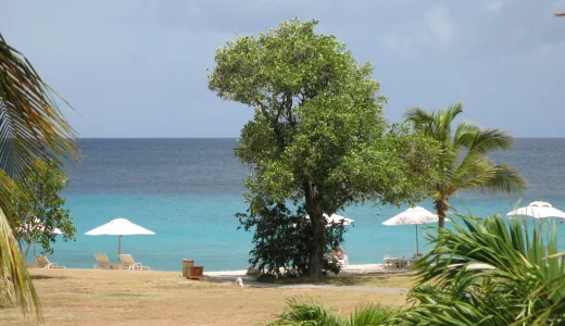 Mustique