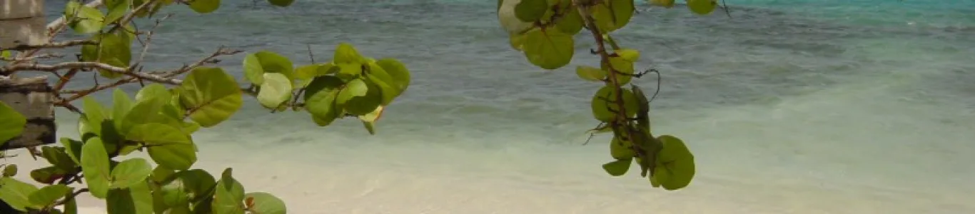 Zdjęcie Plaże na wyspie
