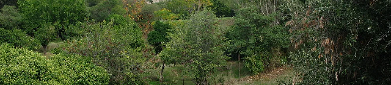 Zdjęcie Patras