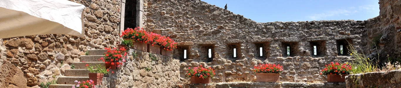 Zdjęcie Isola del Giglio
