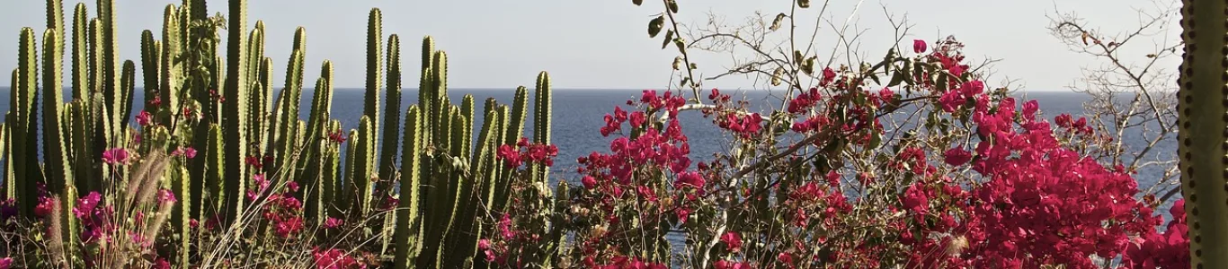 Zdjęcie Gran Canaria