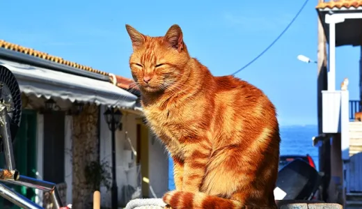 Lefkada