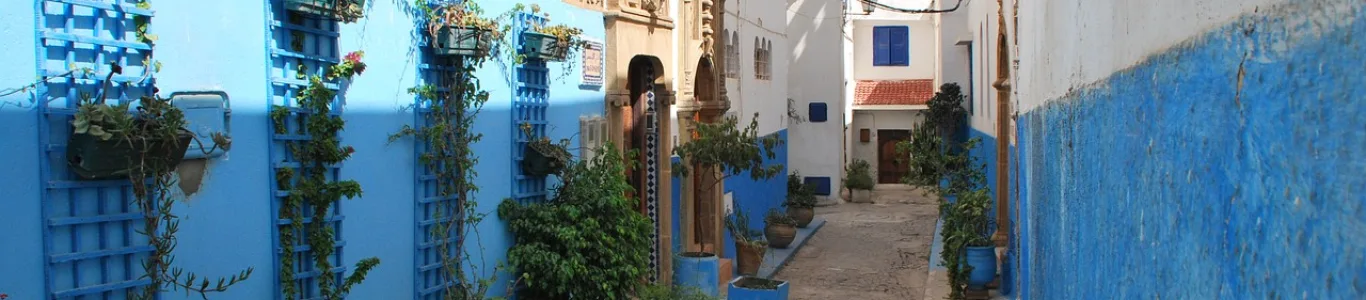Zdjęcie Rabat