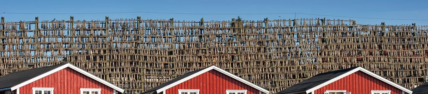 Zdjęcie Svolvær