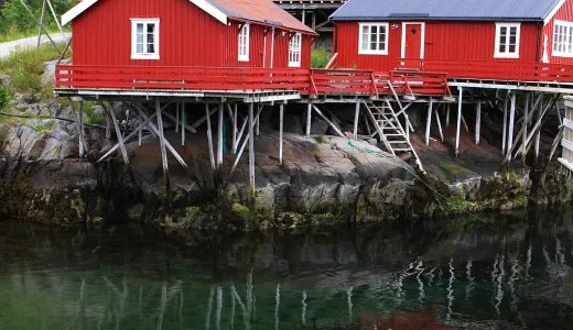 Reine