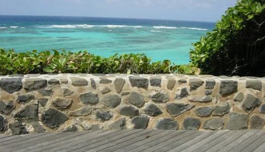 Petit Saint Vincent