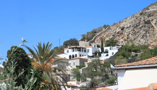 Hydra