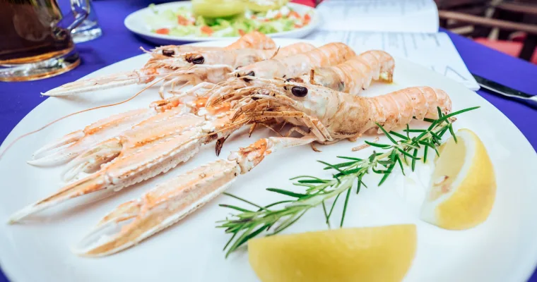 Śladem śródziemnomorskich smaków w Chorwacji