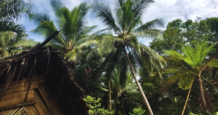 Wyspy Pacyfiku - Fidżi i Vanuatu
