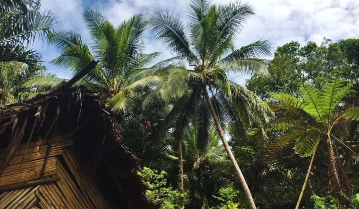 Wyspy Pacyfiku - Fidżi i Vanuatu