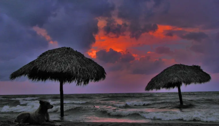 Zdjęcie Coco Plum Cay