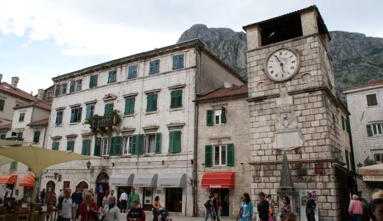 Muzeum Kotów – zdjęcie 2