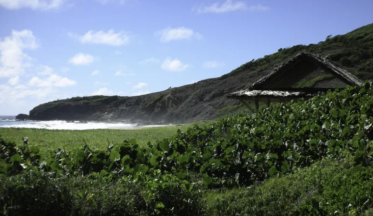 Plaże na wyspie Mustique – zdjęcie 2