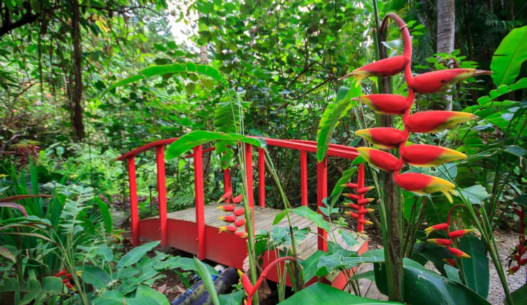 Diamentowe Ogrody Botaniczne – zdjęcie 2
