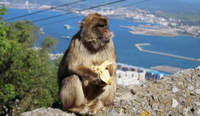 Gibraltar – zdjęcie 2