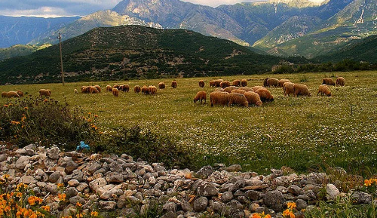 Vlora – zdjęcie 2