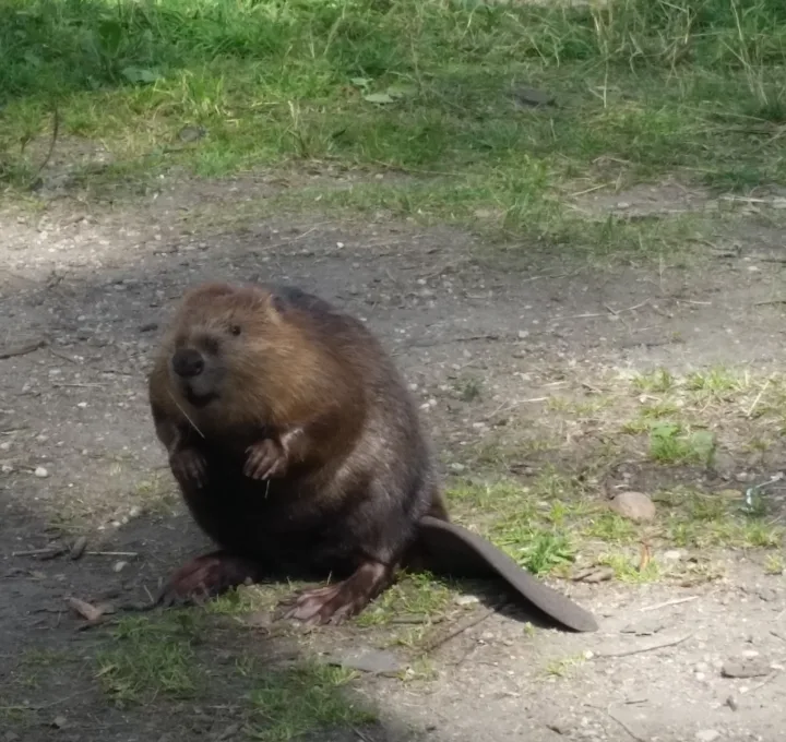 Mazurska przygoda pod zaglami