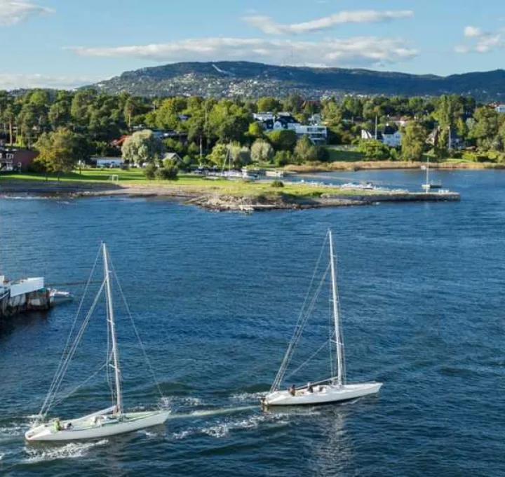 Kierunek OSLO