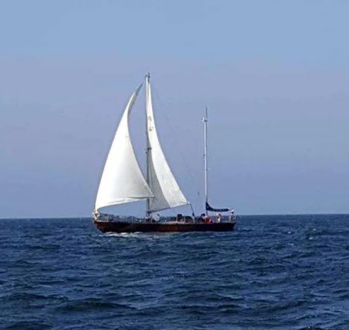 Rugia