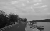 Veli Rat