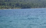Miejscowa restauracja - Eremitaz