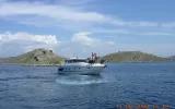 Gaj oliwny Saljsko Polje