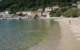 Trstenik
