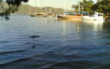 Tersane