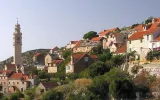 Lozisca
