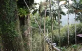 Jardin de Balata