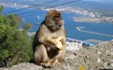 Gibraltar