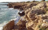 Paphos