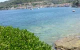 Vis