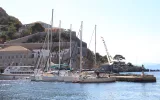 Hydra