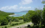 Petit Saint Vincent