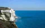 Dover