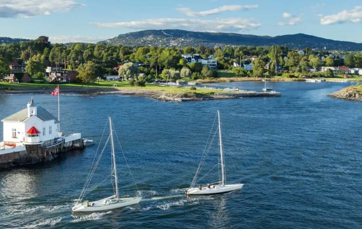 Kierunek OSLO