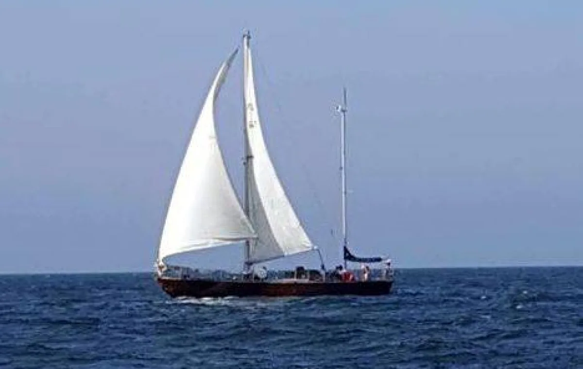 Rugia
