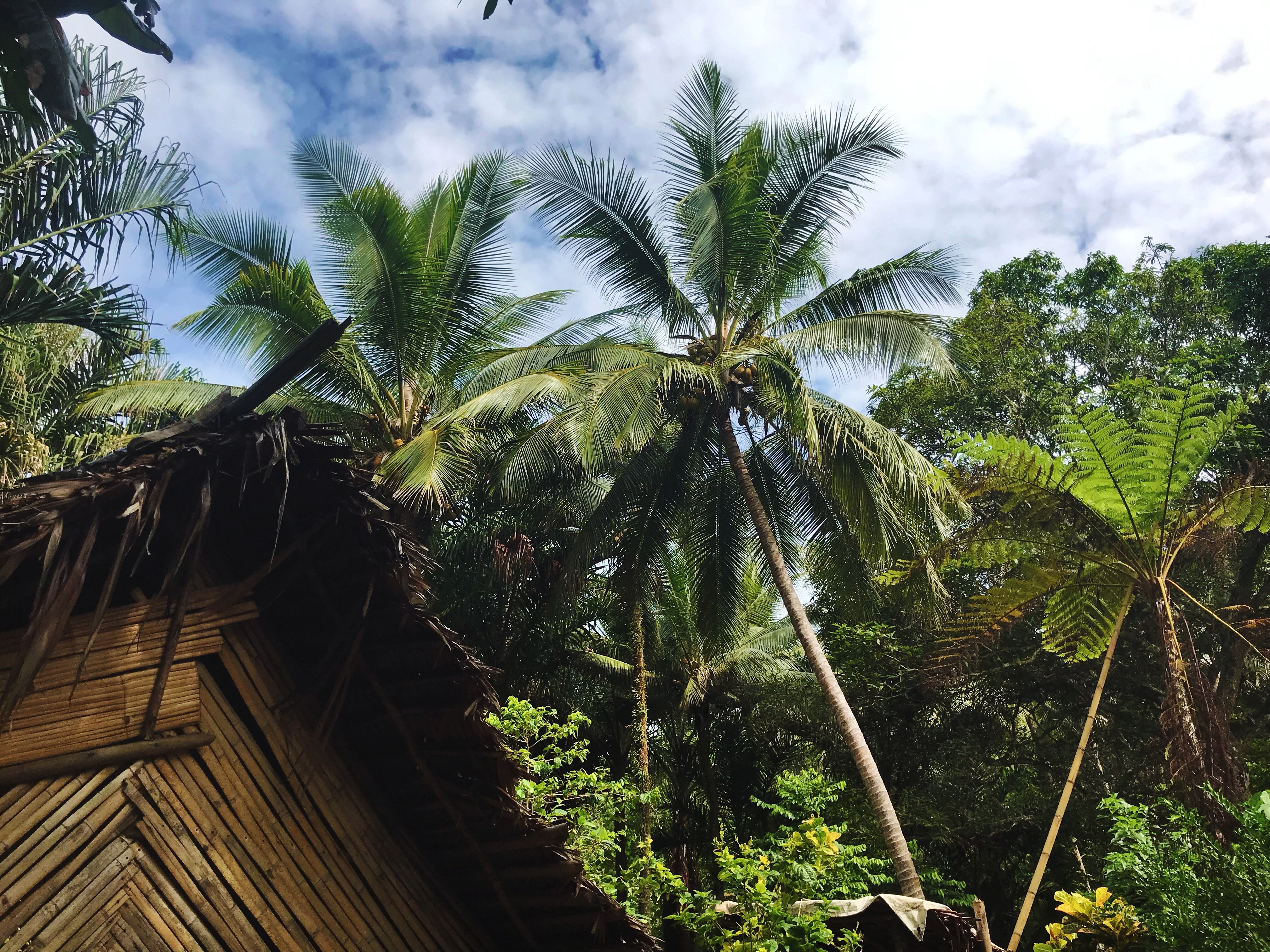 Wyspy Pacyfiku - Fidżi i Vanuatu